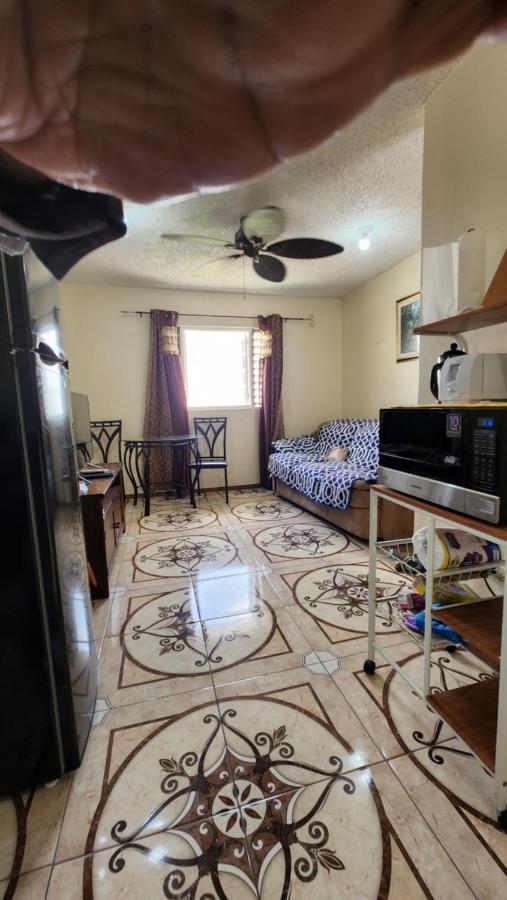 Oaklands Oasis Apartman Kingston Kültér fotó