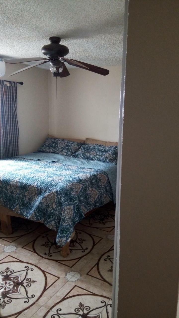 Oaklands Oasis Apartman Kingston Kültér fotó